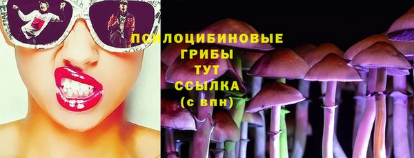 СК Богородицк