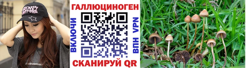 Псилоцибиновые грибы ЛСД  продажа наркотиков  Кировград 